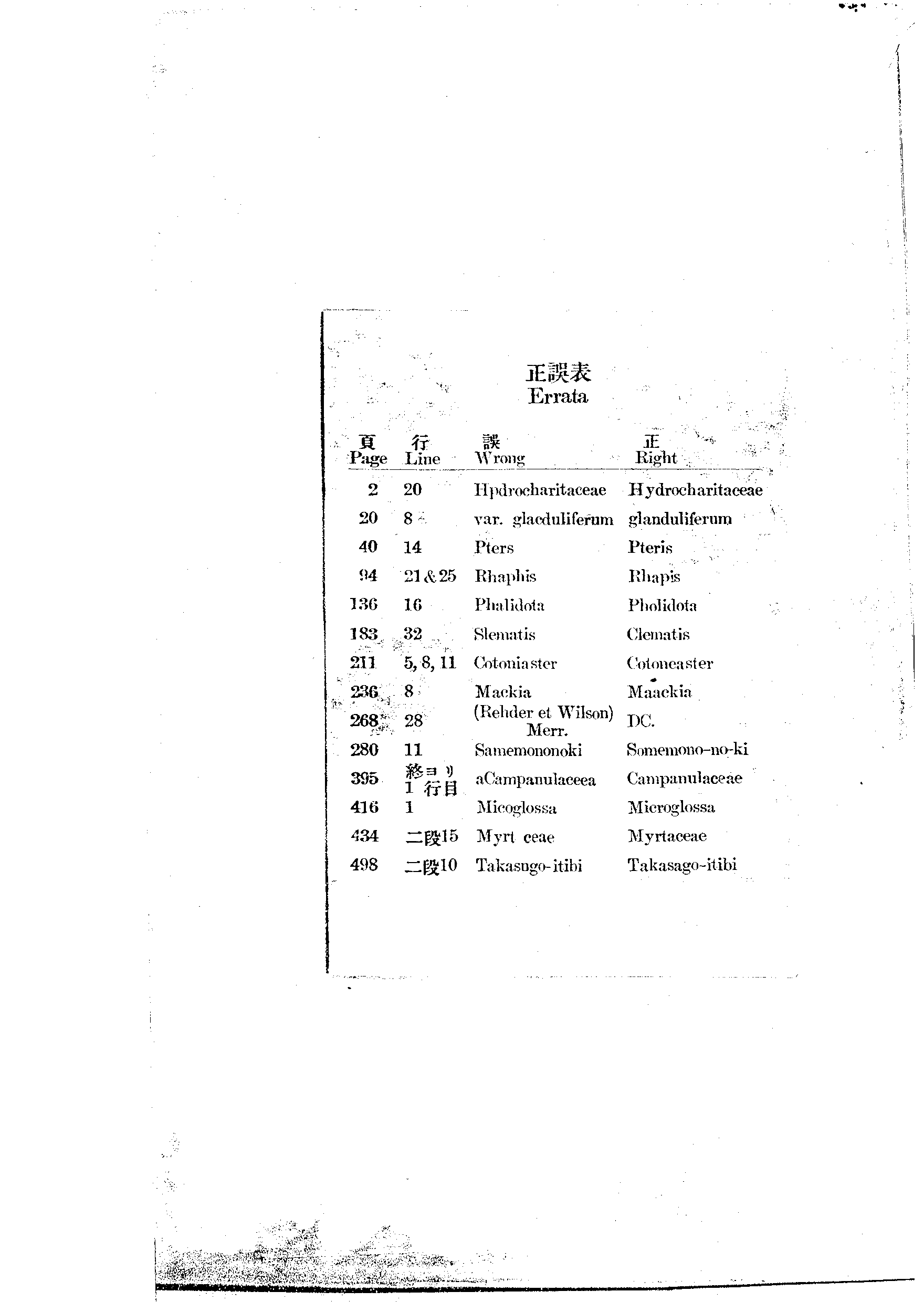 台灣植物名彙(List of Plants of Formosa)  第6頁