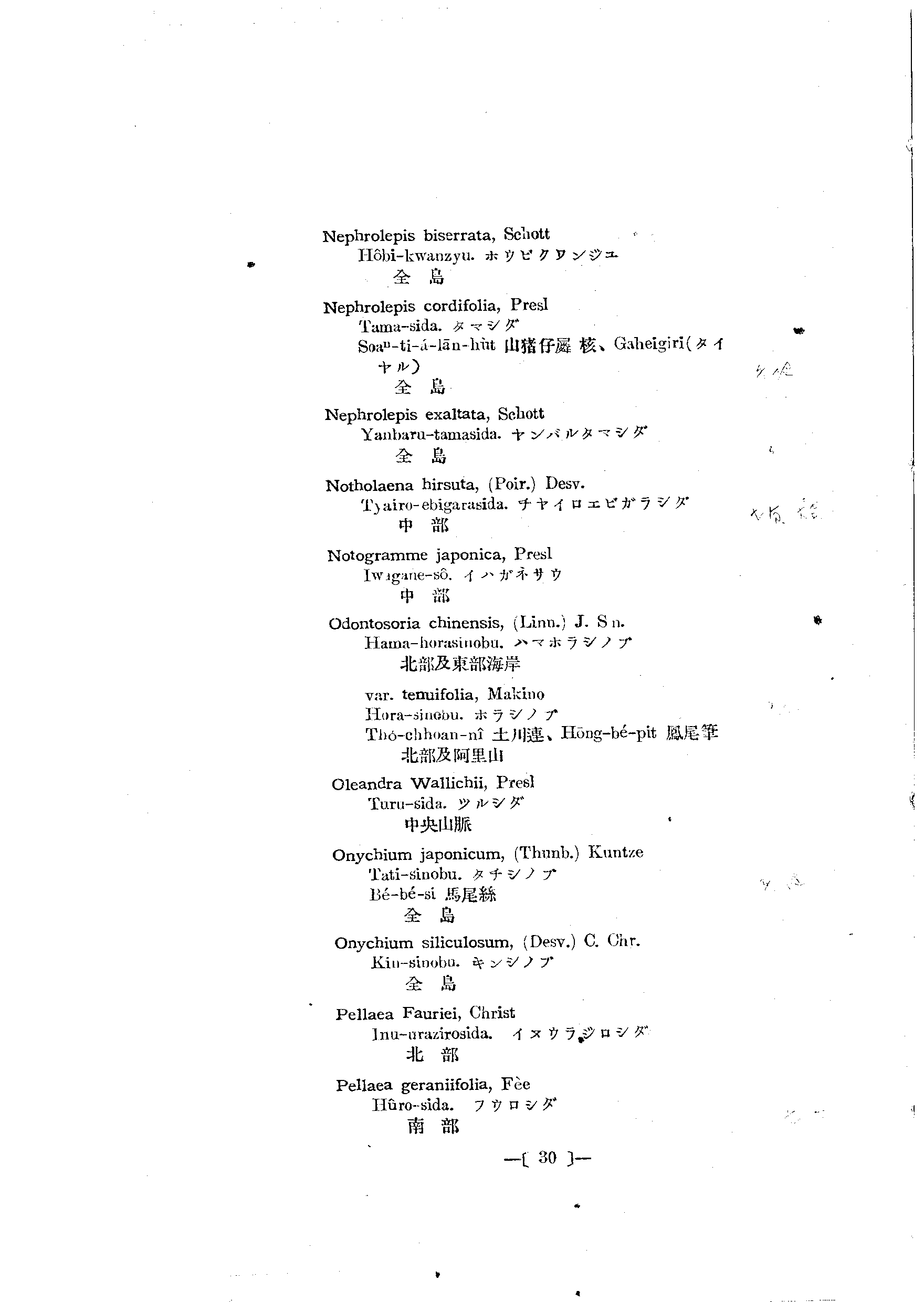 台灣植物名彙(List of Plants of Formosa)  第74頁