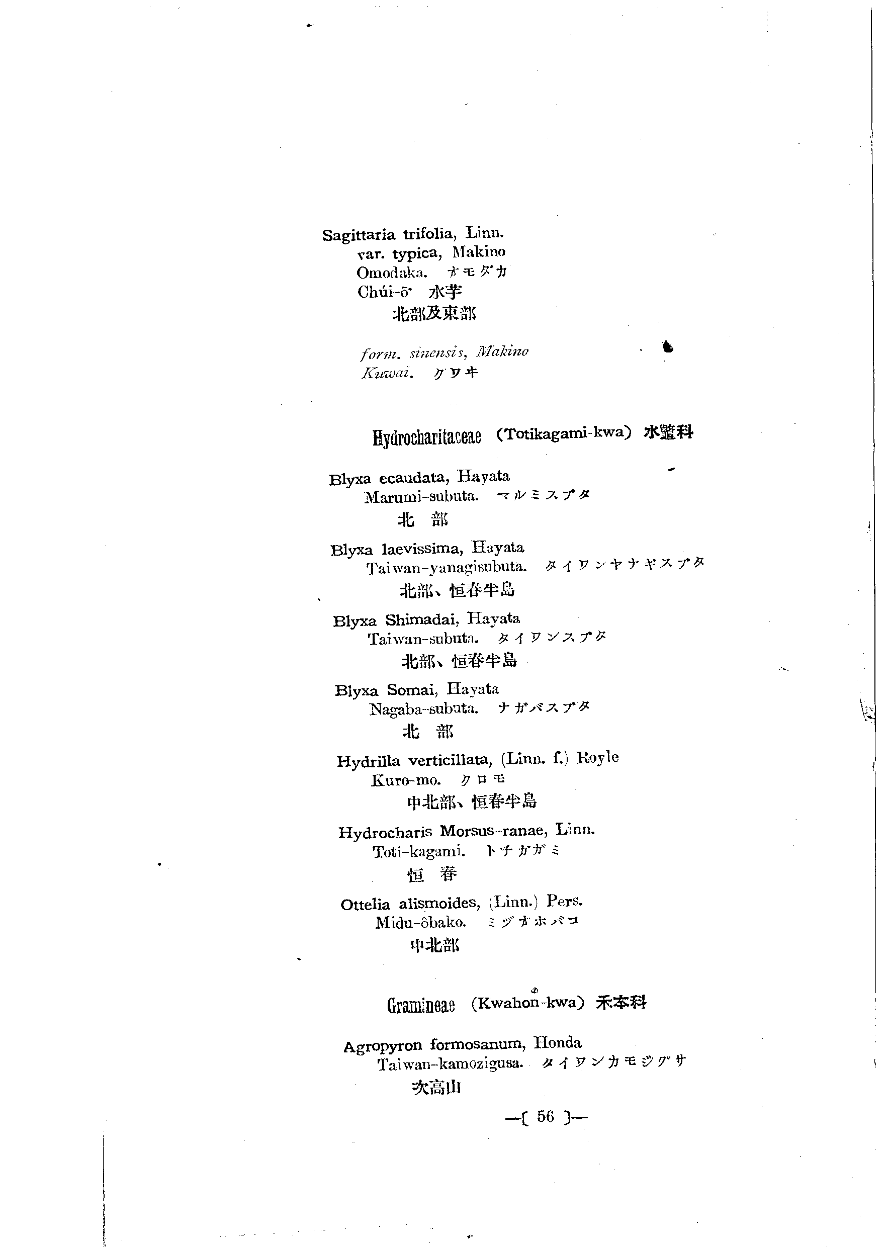 台灣植物名彙(List of Plants of Formosa)  第100頁