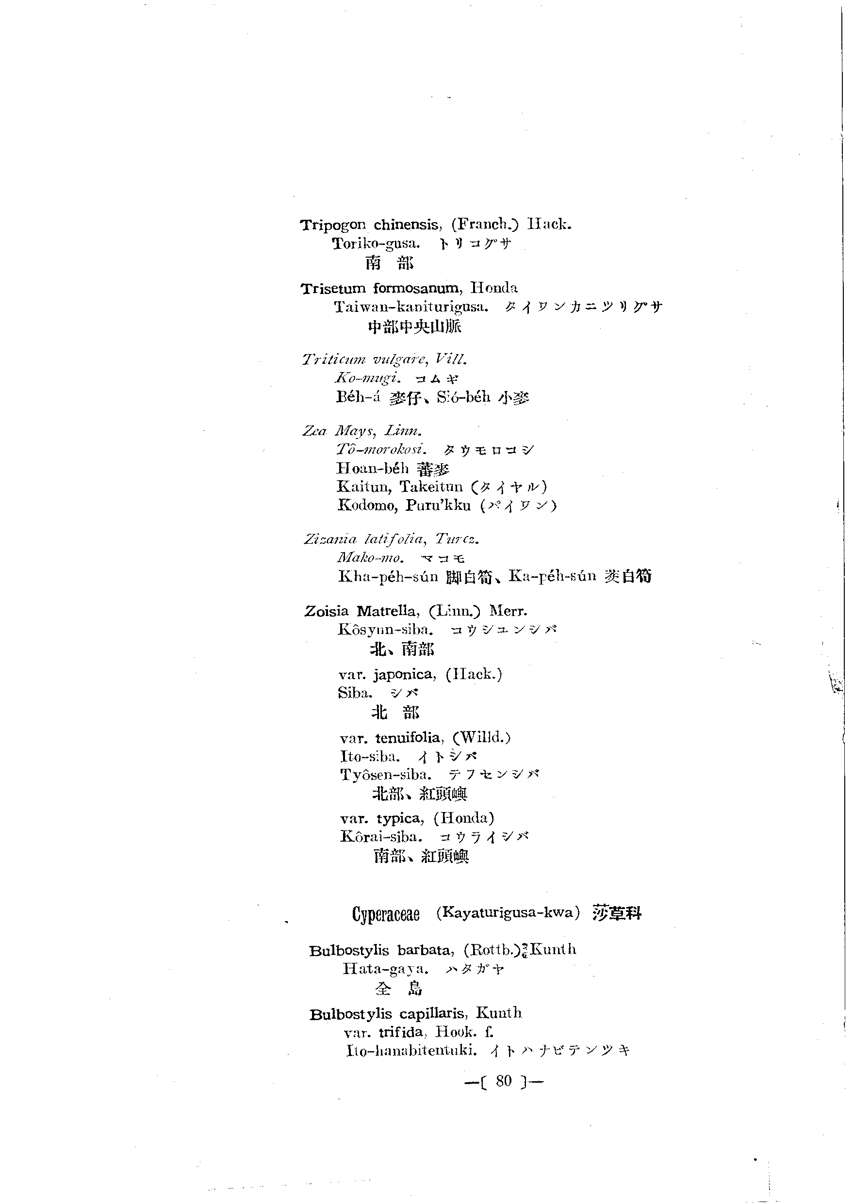 台灣植物名彙(List of Plants of Formosa)  第124頁