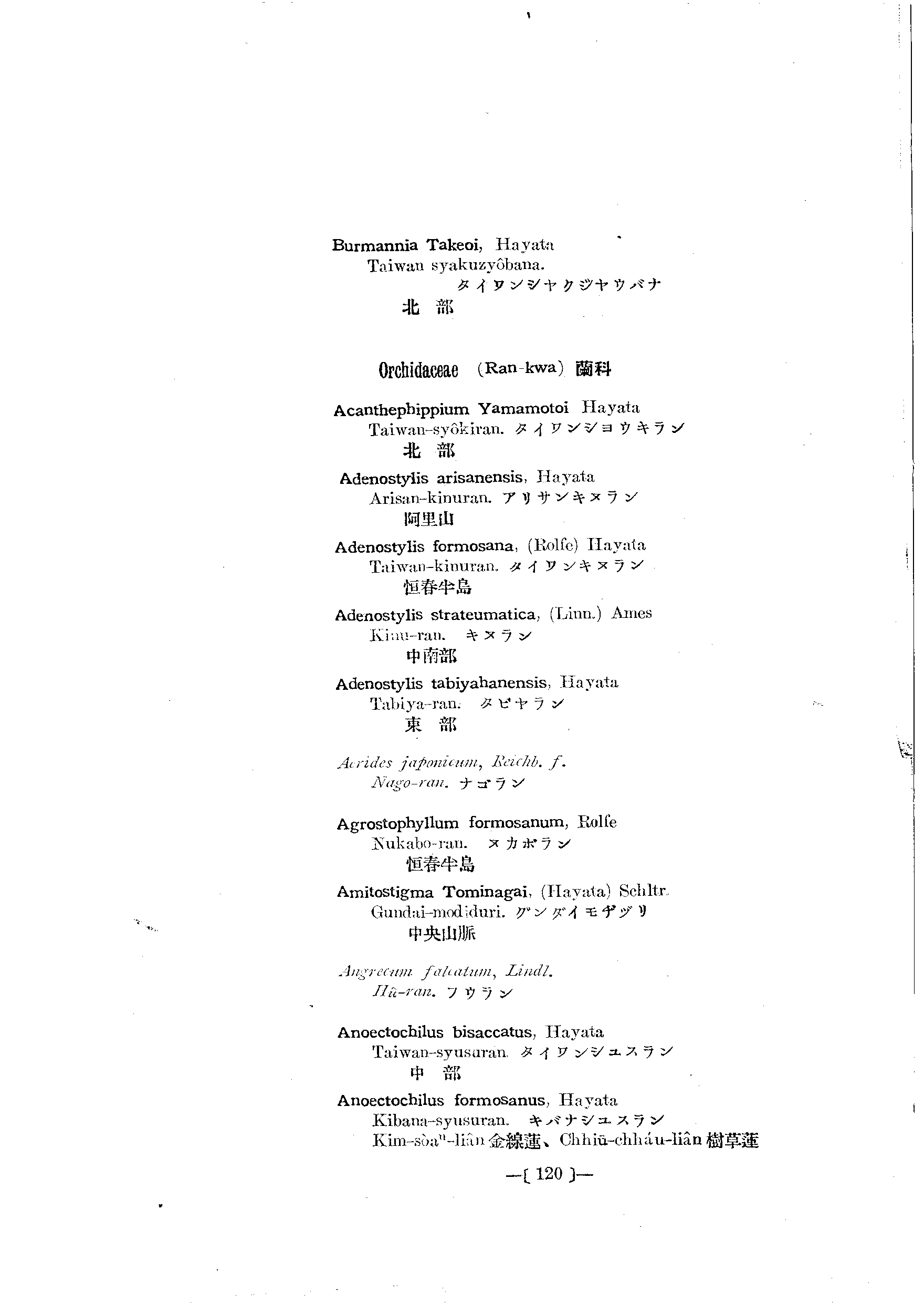 台灣植物名彙(List of Plants of Formosa)  第164頁