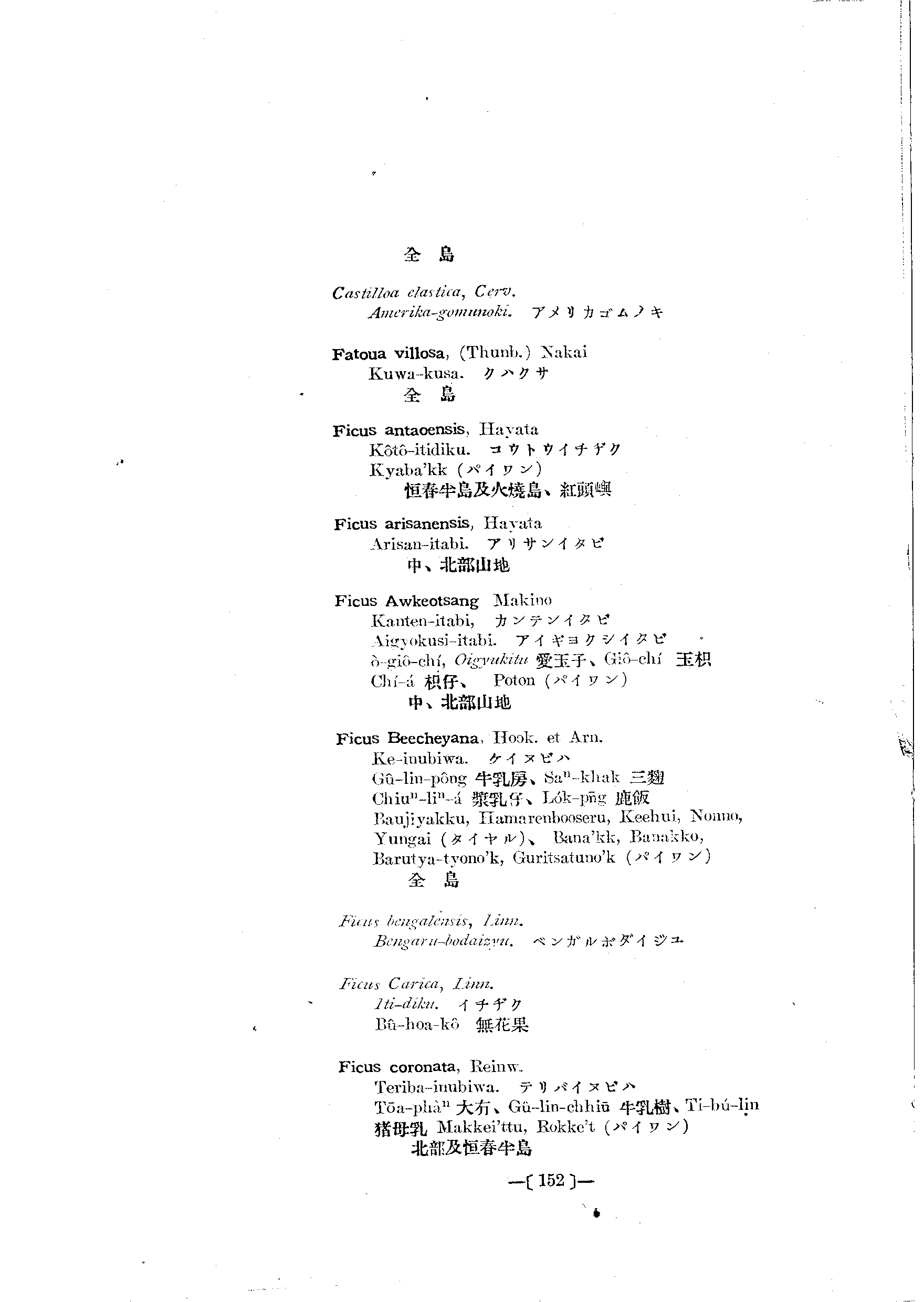 台灣植物名彙(List of Plants of Formosa)  第196頁