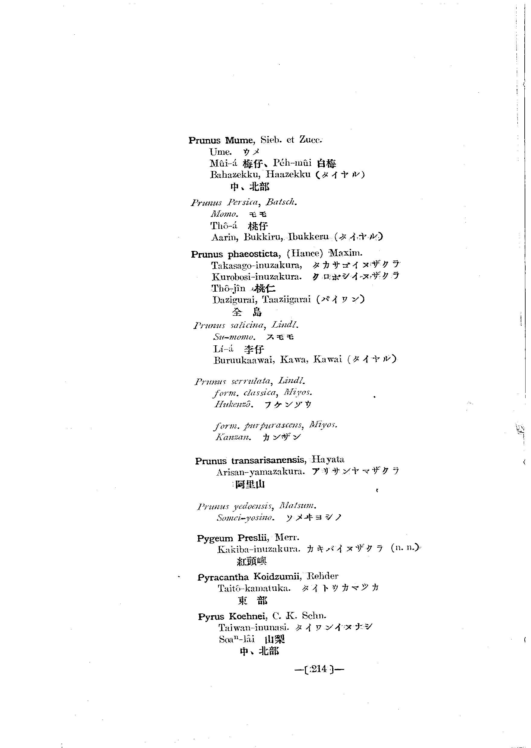 台灣植物名彙(List of Plants of Formosa)  第258頁