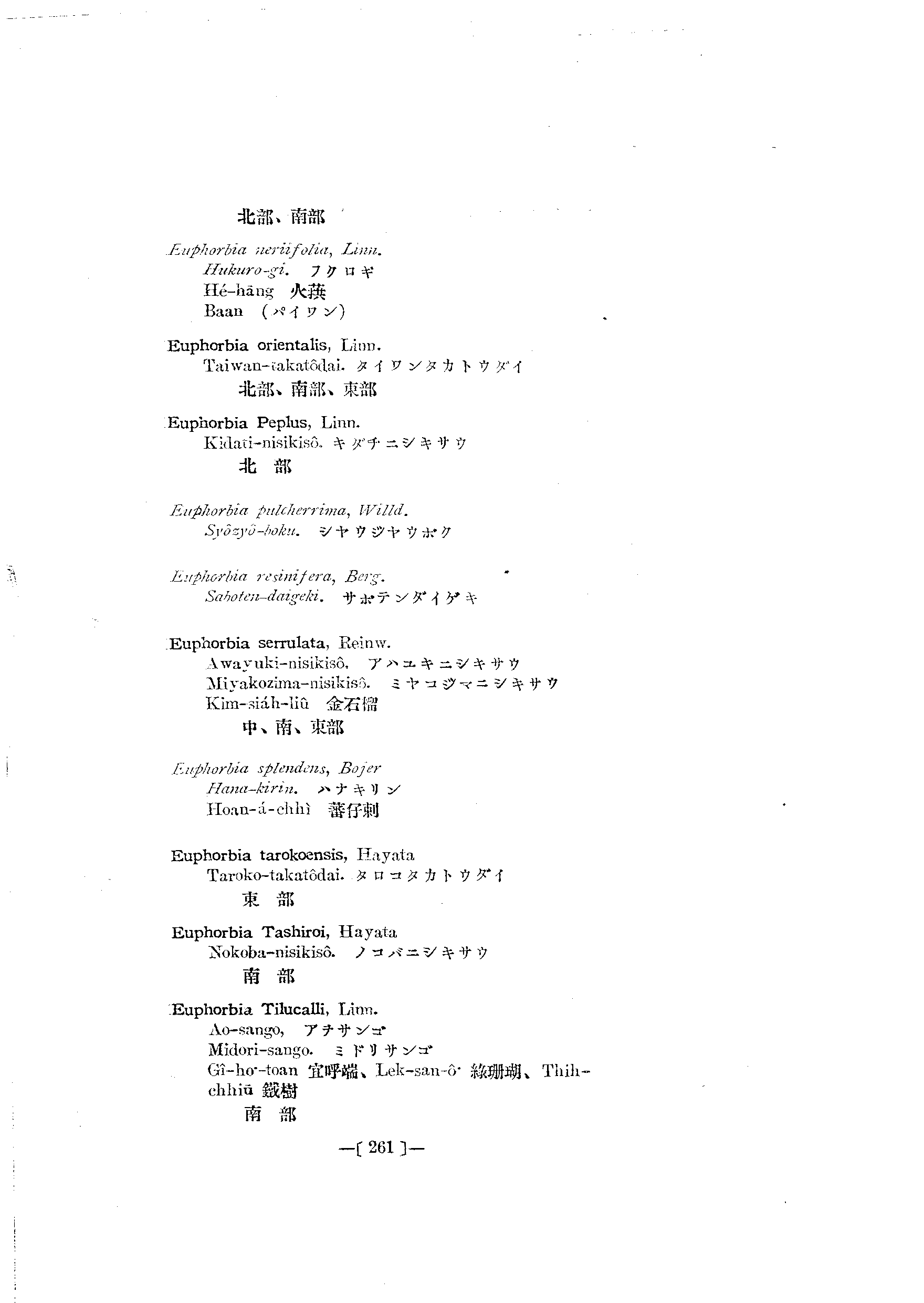 台灣植物名彙(List of Plants of Formosa)  第305頁