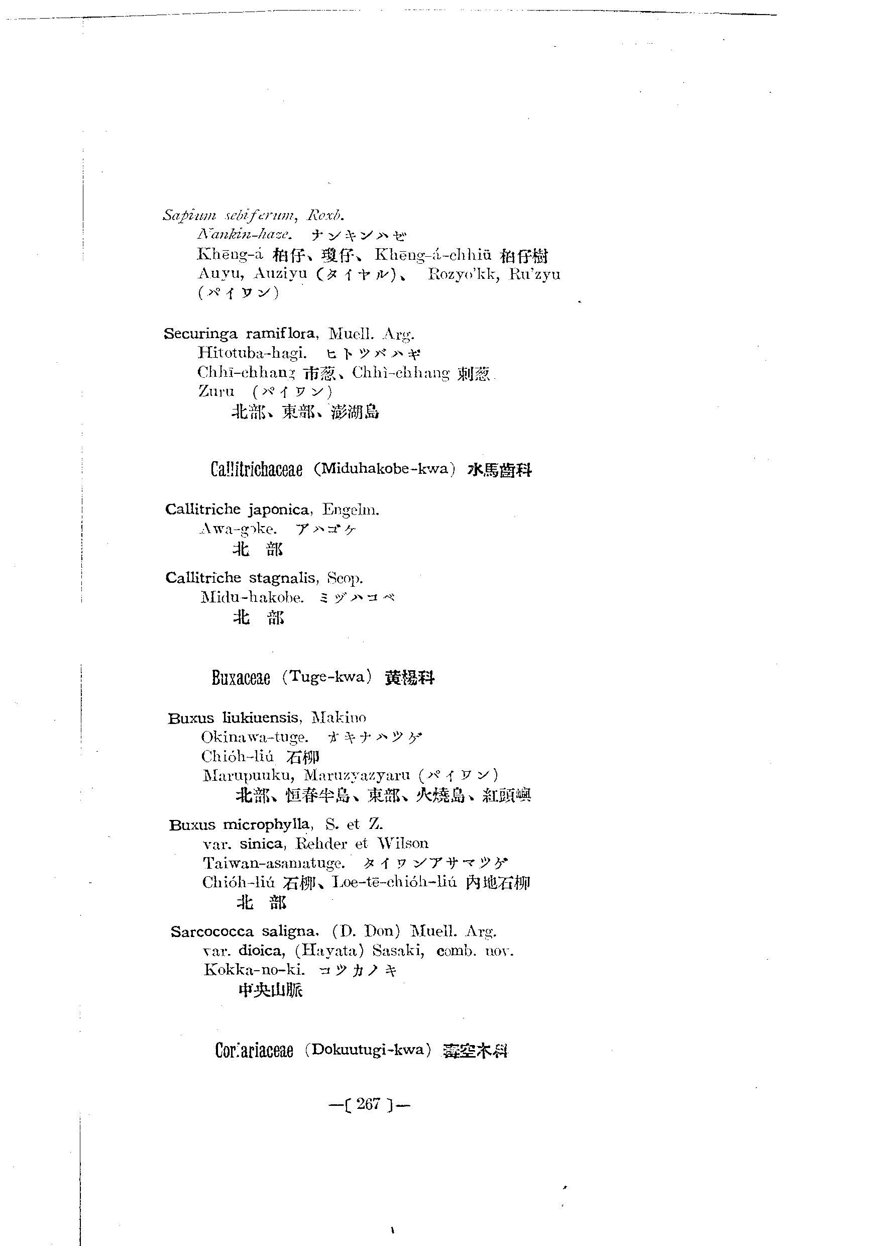 台灣植物名彙(List of Plants of Formosa)  第311頁