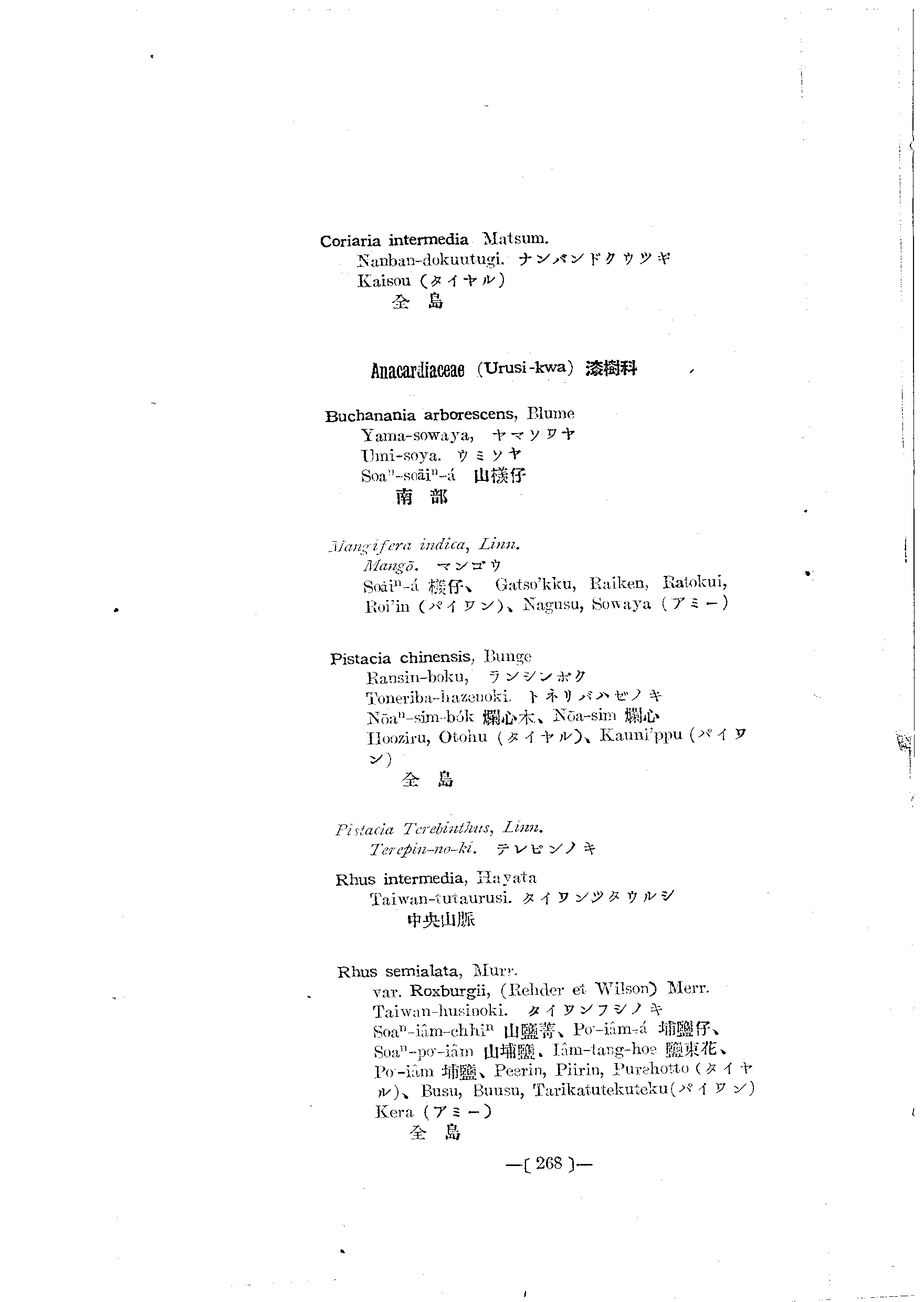 台灣植物名彙(List of Plants of Formosa)  第312頁