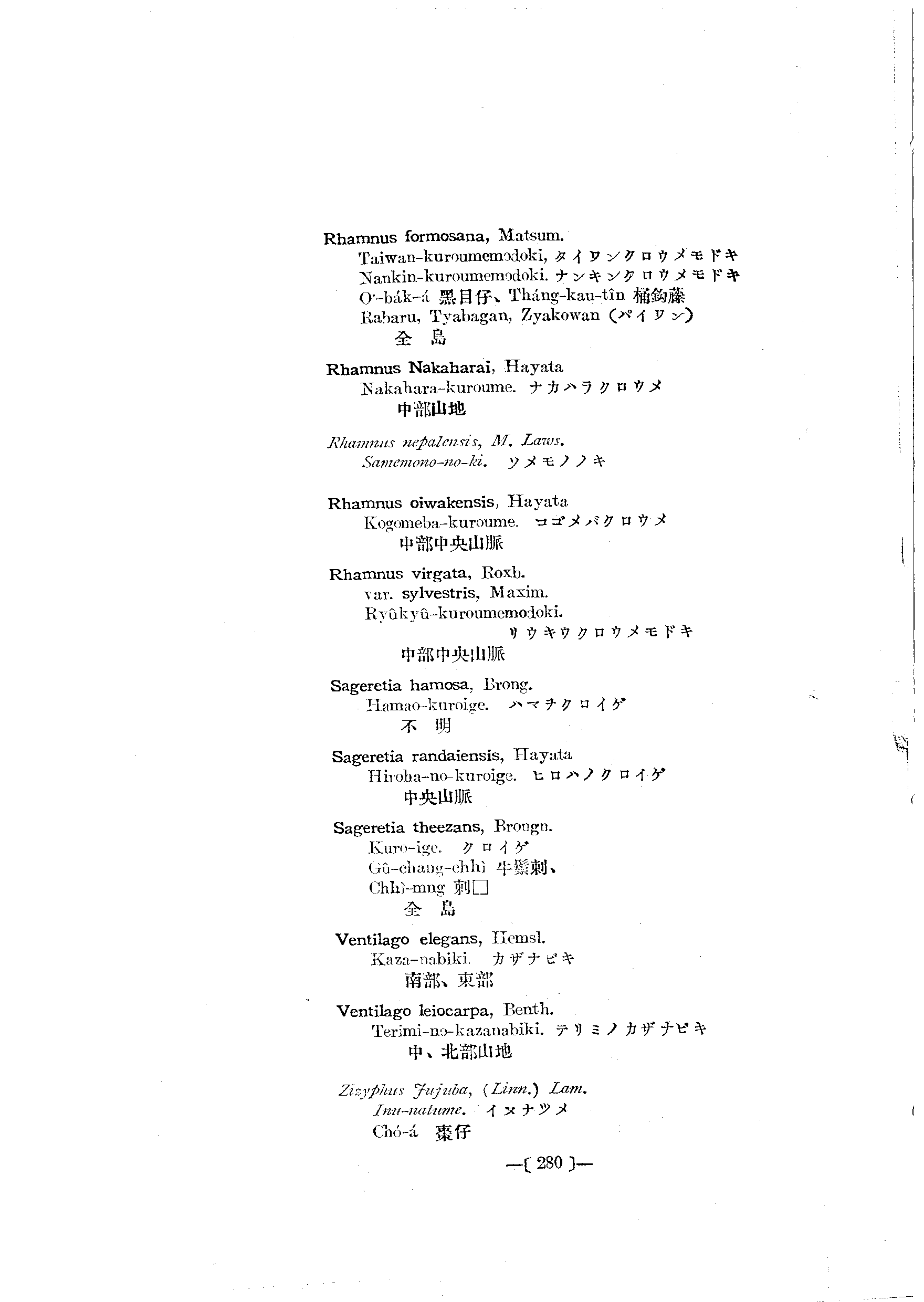 台灣植物名彙(List of Plants of Formosa)  第324頁