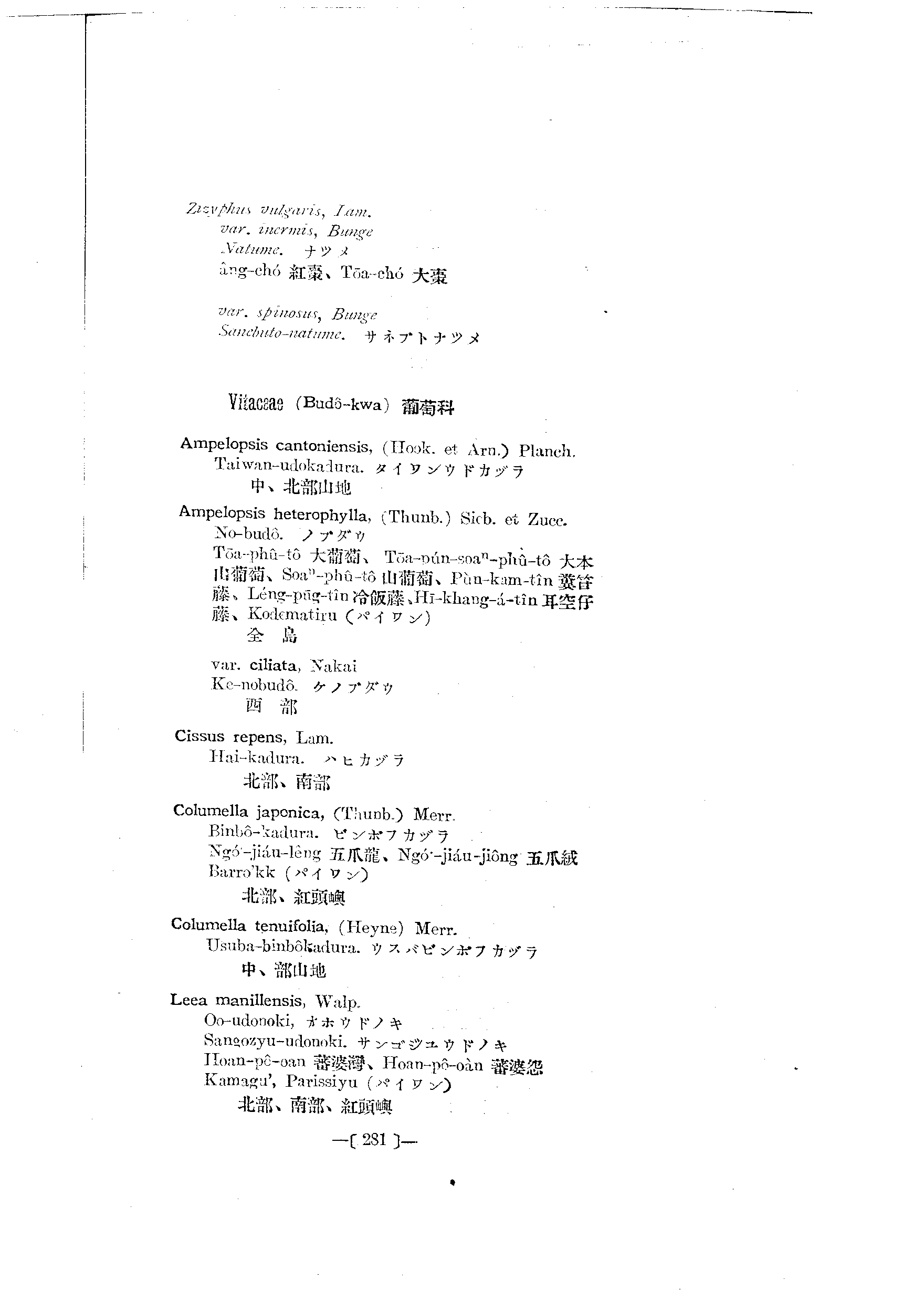 台灣植物名彙(List of Plants of Formosa)  第325頁