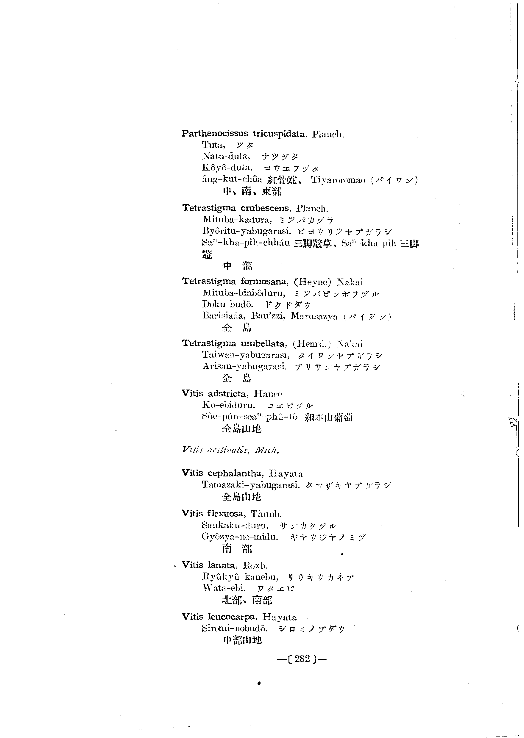 台灣植物名彙(List of Plants of Formosa)  第326頁