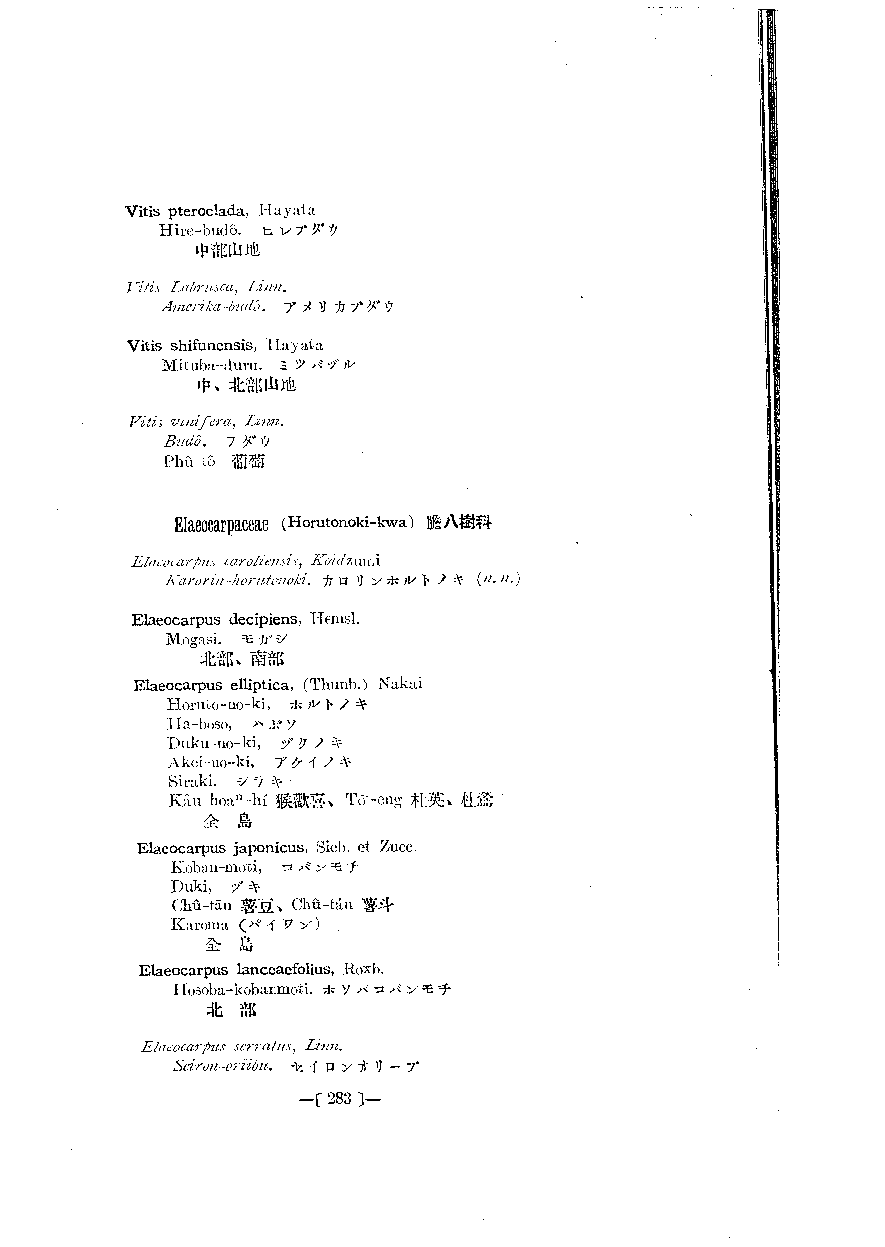 台灣植物名彙(List of Plants of Formosa)  第327頁