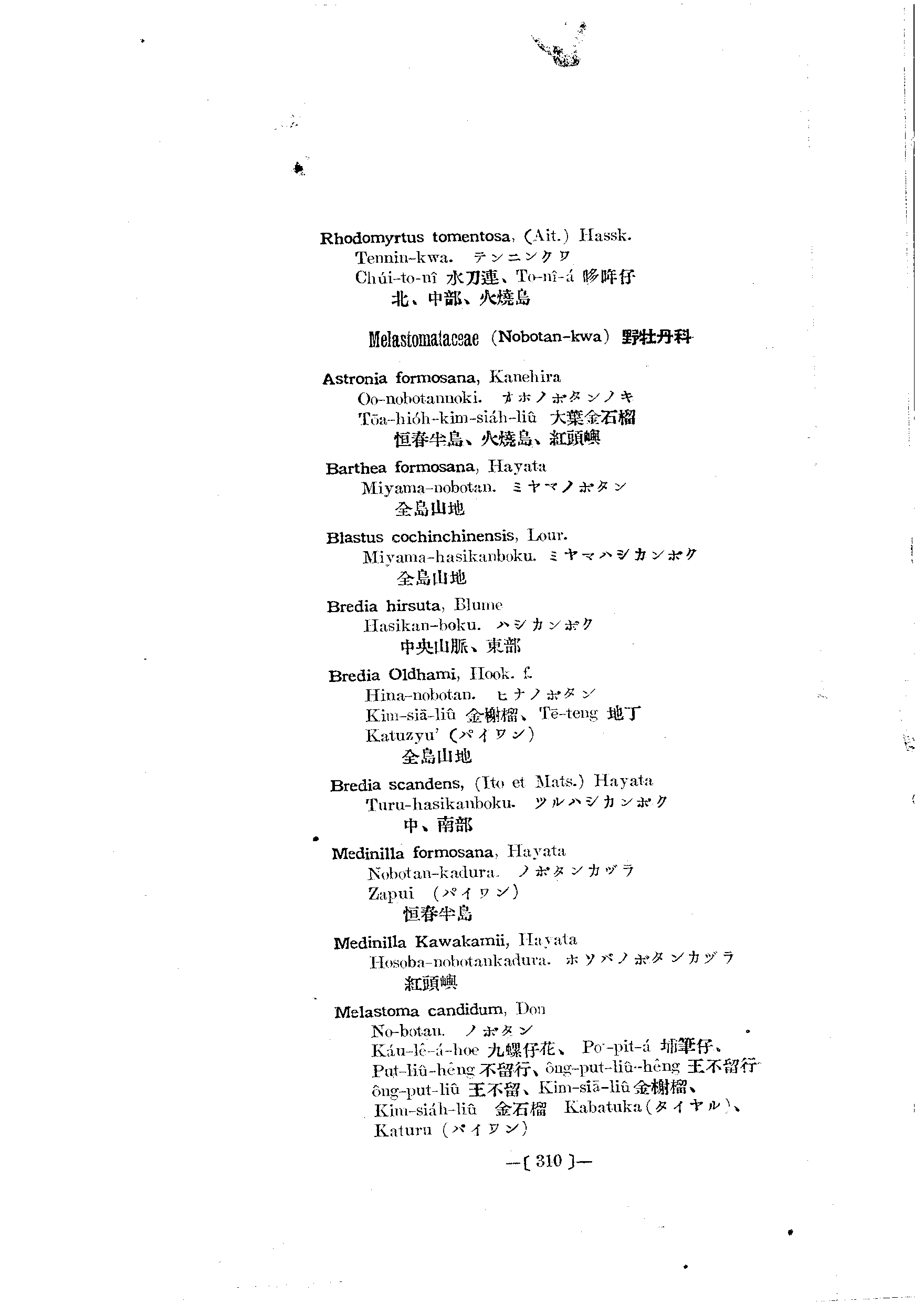 台灣植物名彙(List of Plants of Formosa)  第354頁