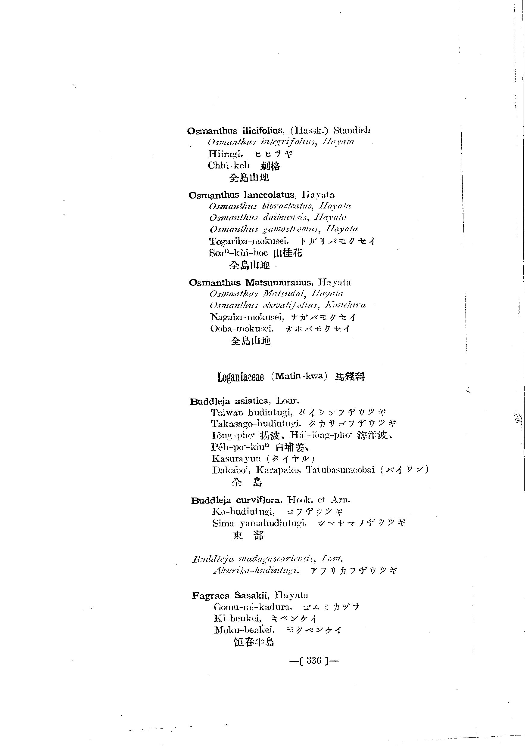 台灣植物名彙(List of Plants of Formosa)  第380頁