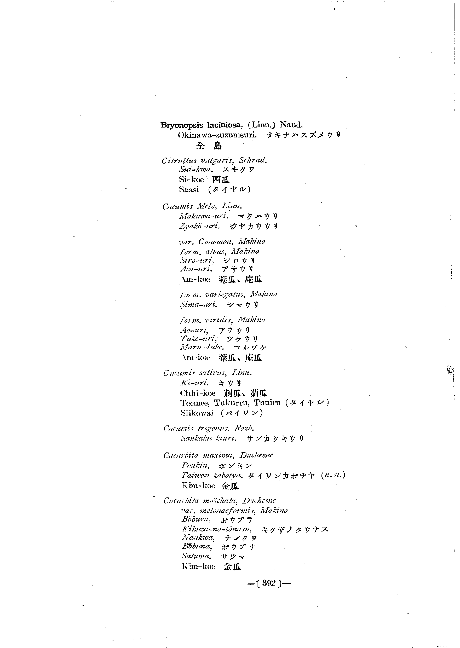 台灣植物名彙(List of Plants of Formosa)  第436頁