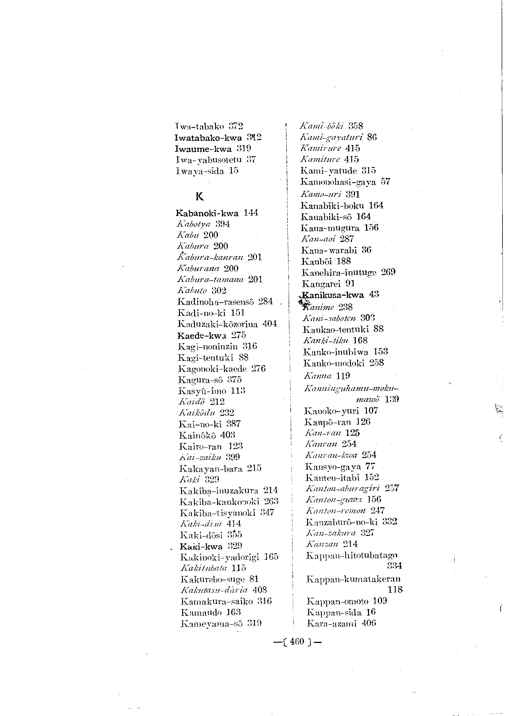 台灣植物名彙(List of Plants of Formosa)  第504頁