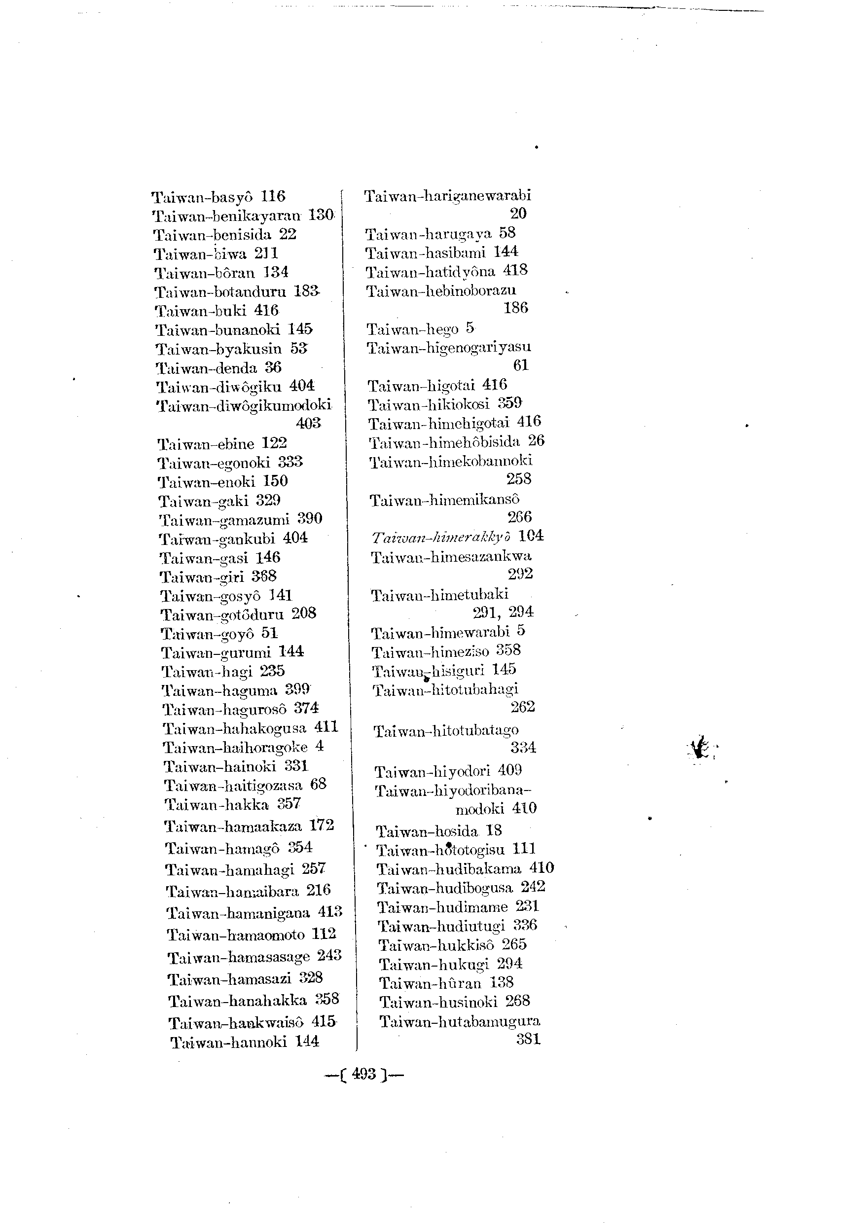 台灣植物名彙(List of Plants of Formosa)  第537頁